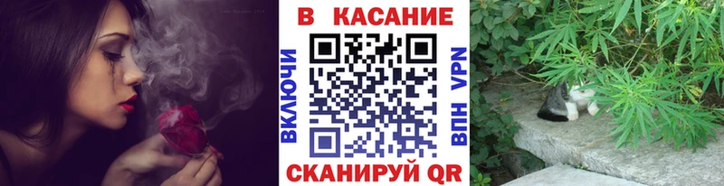  COCAIN Новоузенск