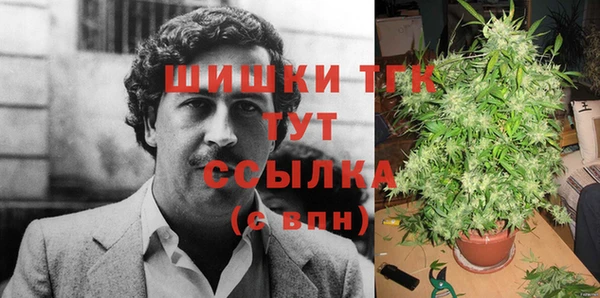 МДМА Бородино
